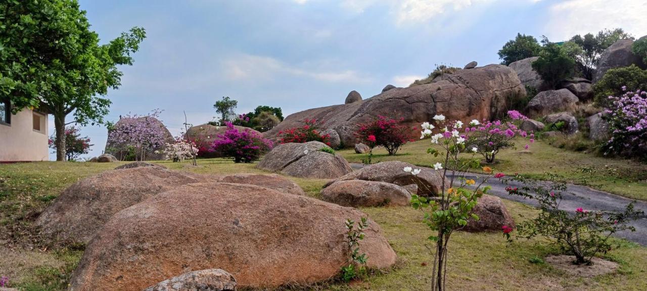 Mdzimba Mountain Lodge Ezulwini Eksteriør billede