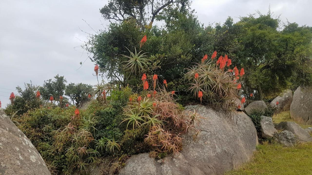 Mdzimba Mountain Lodge Ezulwini Eksteriør billede